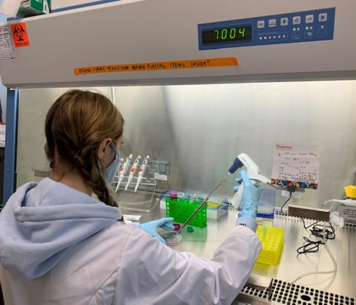 Student doing research in a lab