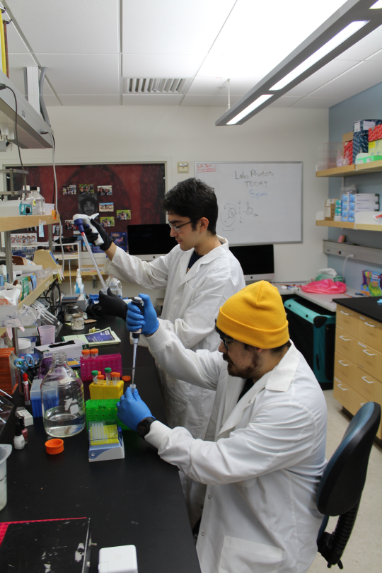 Hua Lab Members doing research
