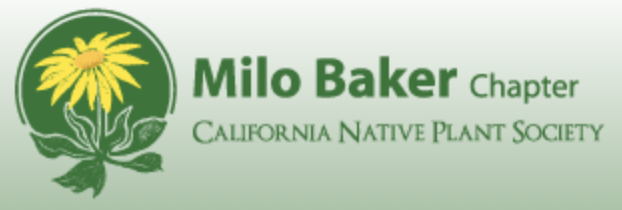 Milo Baker NPS