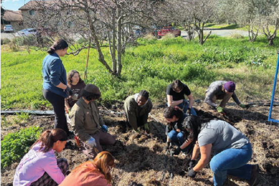 Students digging in the dirt