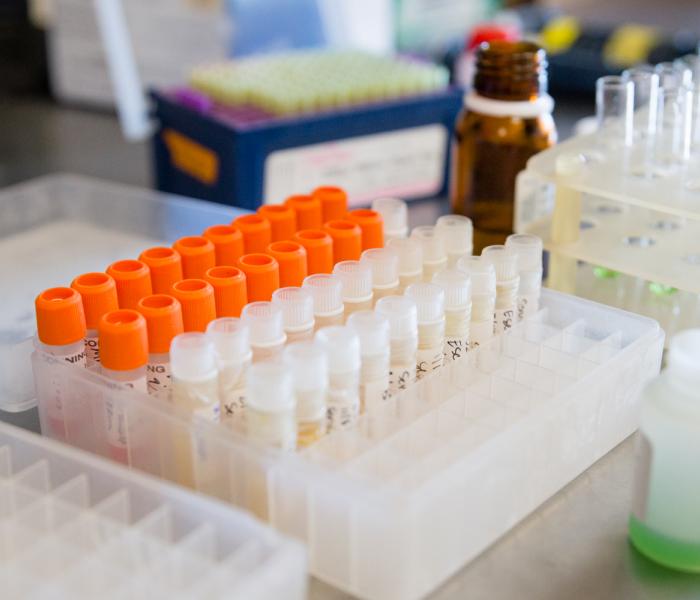 Lab supplies