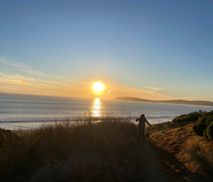 Bodega Bay Sunset