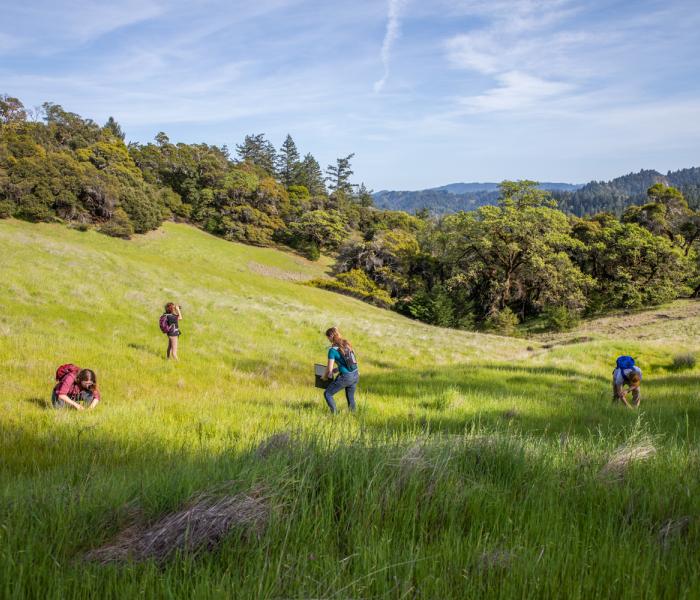 Students out in nature