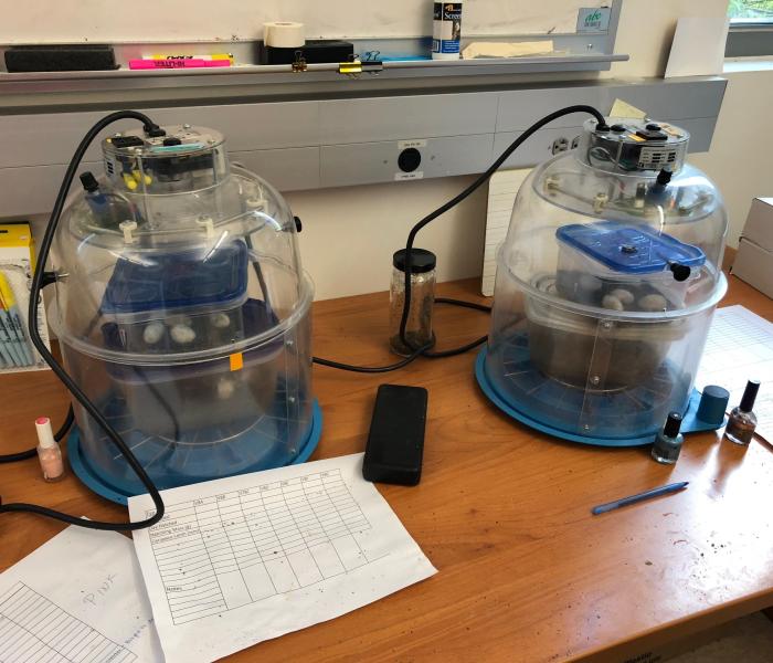 Incubators