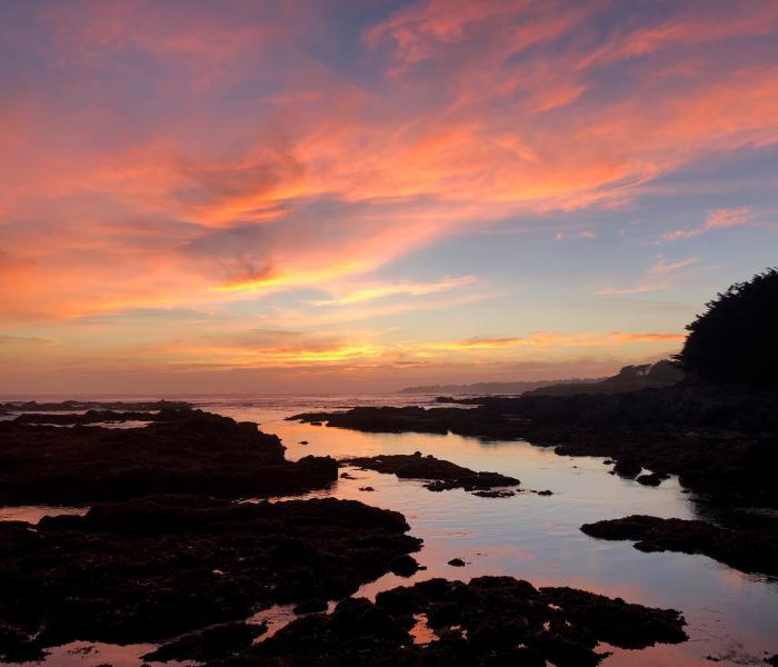 sea ranch sunset