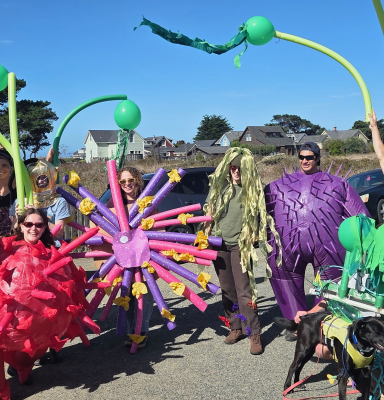 Students dressed in Sea creature costumes