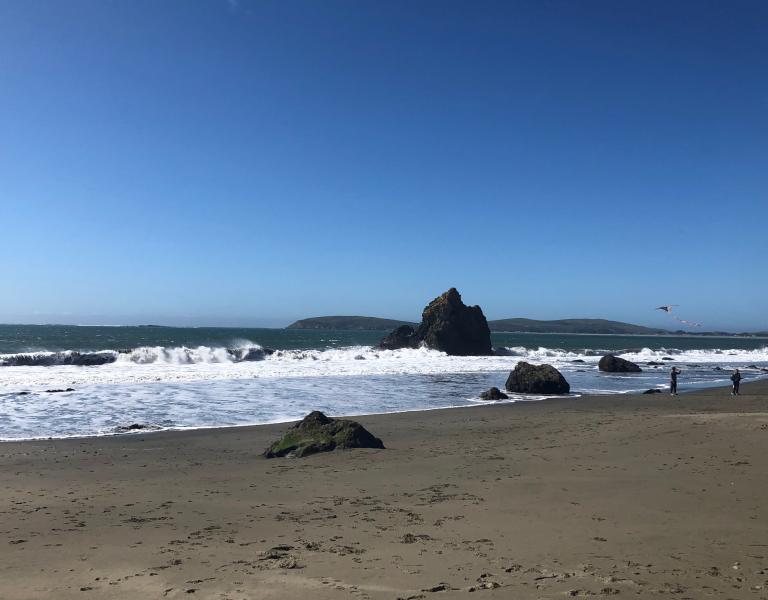 Bodega Bay