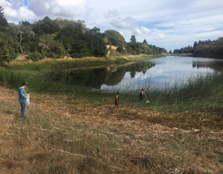 Students doing research at a lake