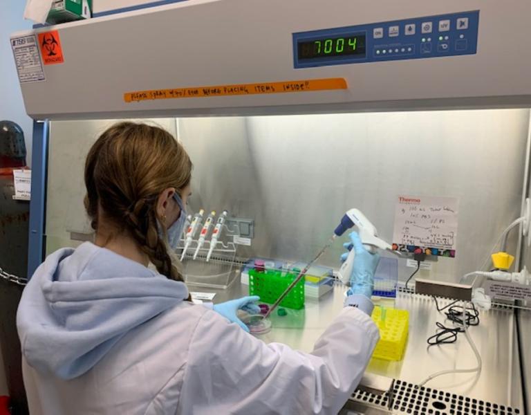 Student doing research in a lab