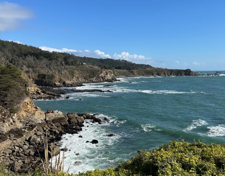 Timber Cove Coastline