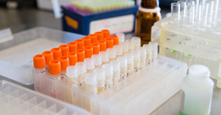 Lab supplies