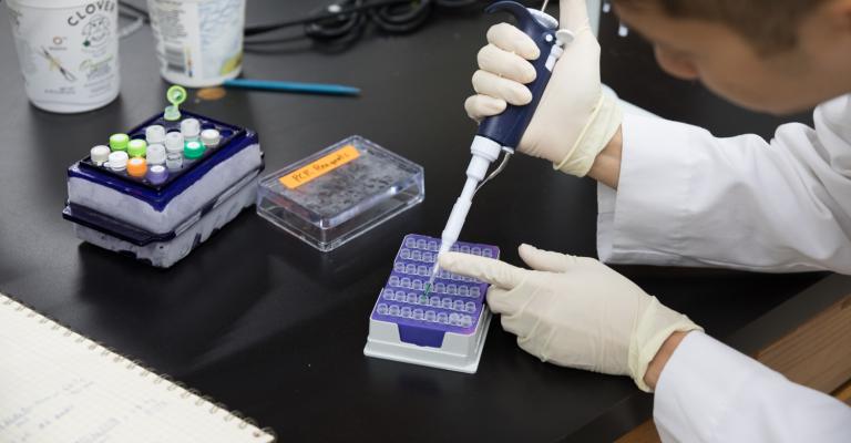 student working in a lab