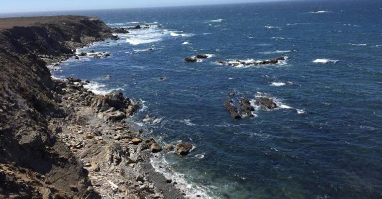 Fort Ross Coast