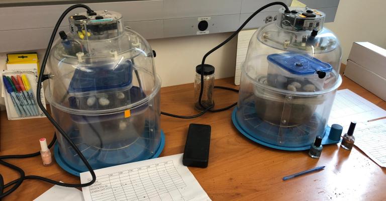 Incubators