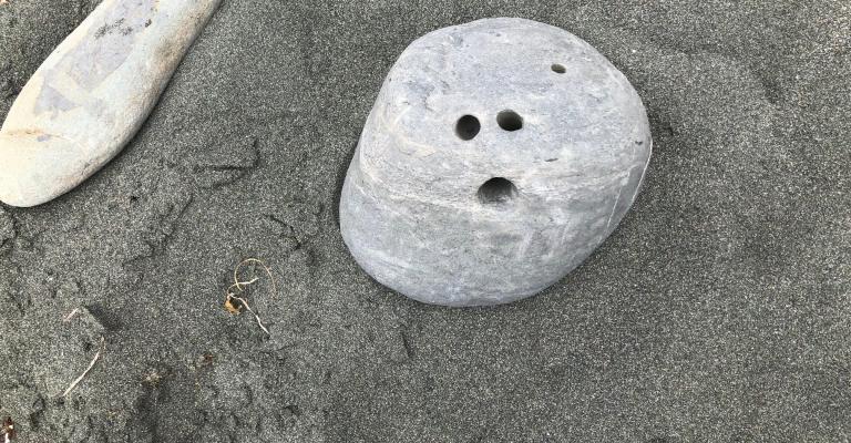 rocks