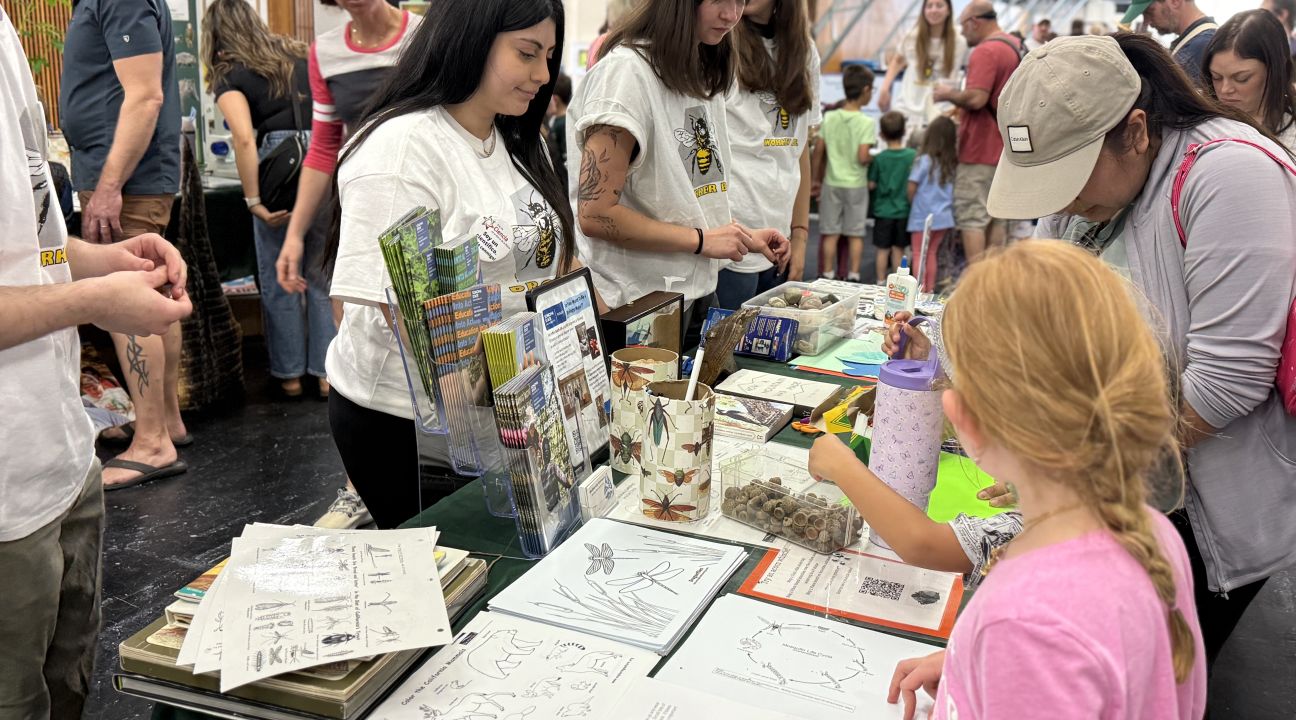Students participating at an event