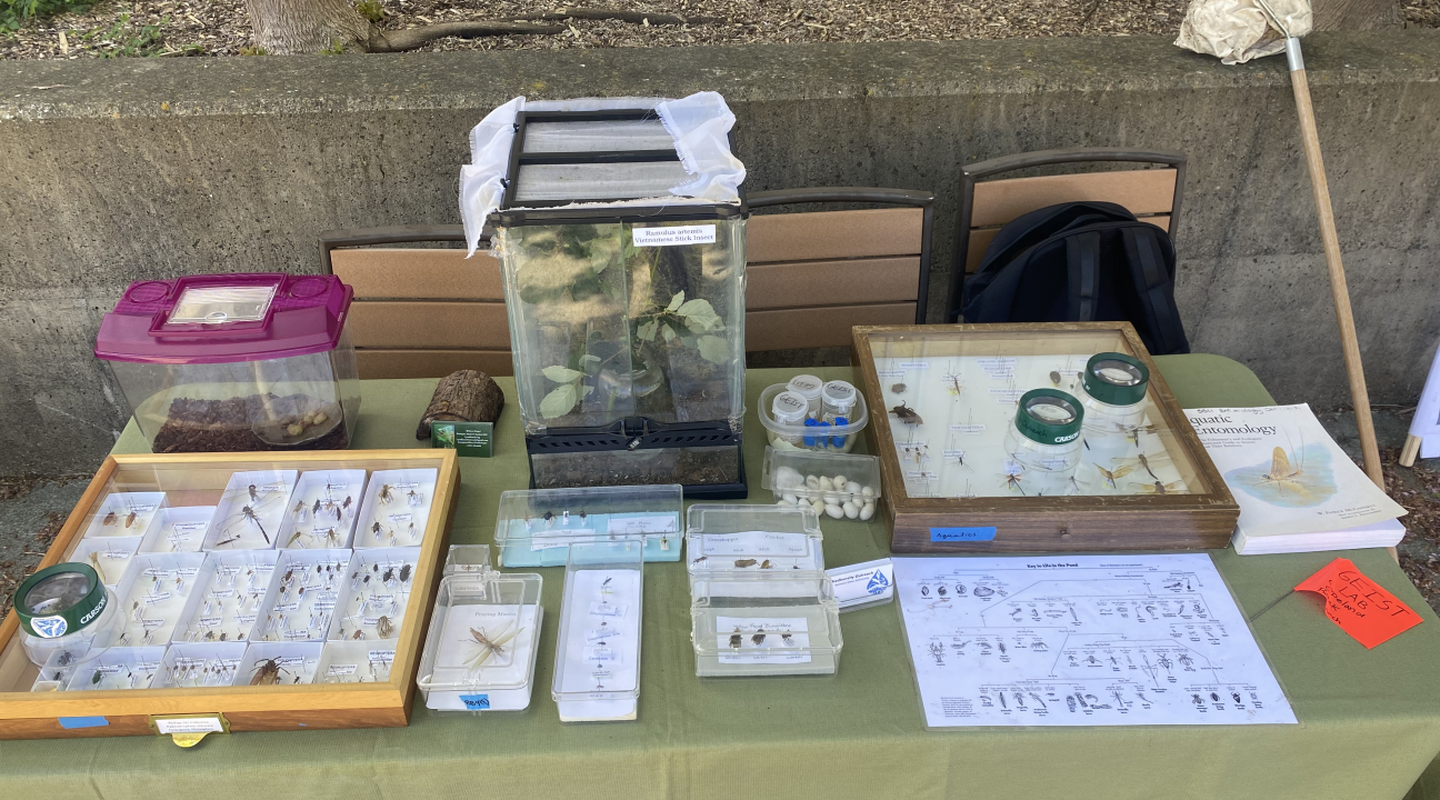 table with items from the museum