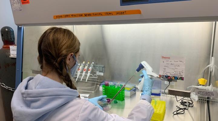 Student doing pipetting in a lab