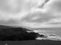 Mendocino Coast