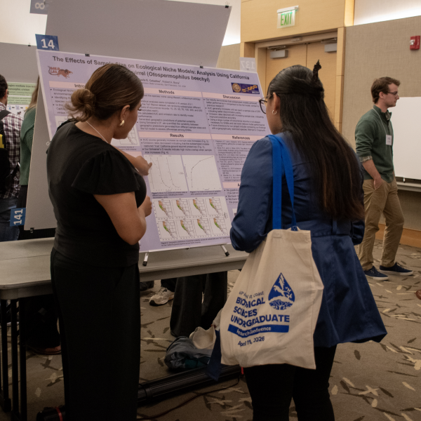 Students presenting posters at the WCBSURC