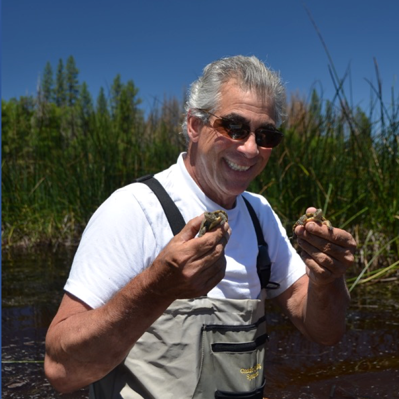 Dr. Geist and Baby Turtles Dr. Nick Geist outside holding baby turtles