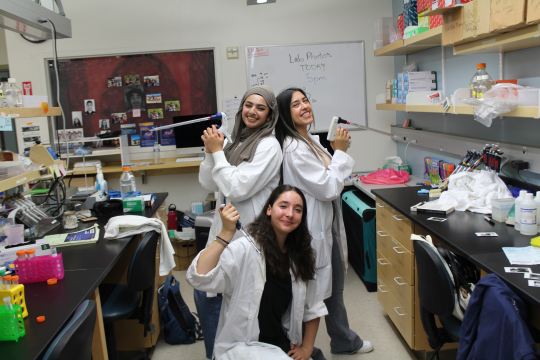 Hua Lab Angels