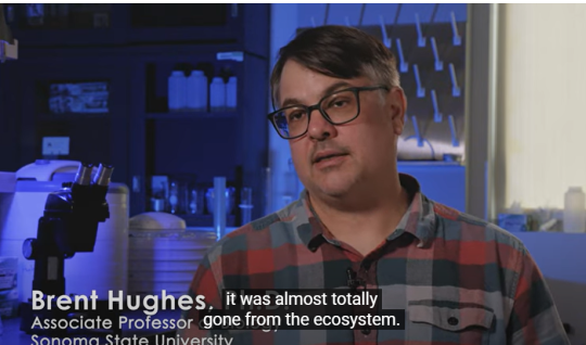 Screenshot of Dr. Brent Hughes in PBS video