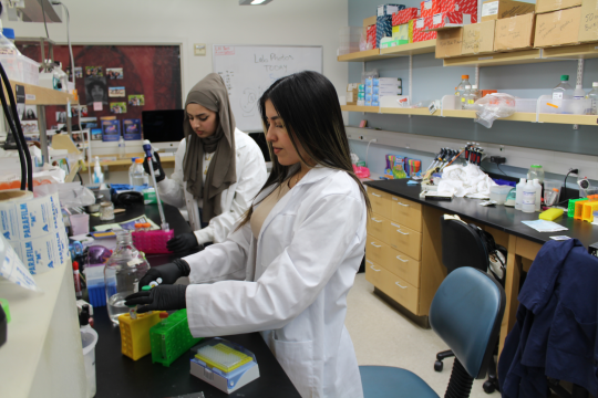 Students in Hua Lab