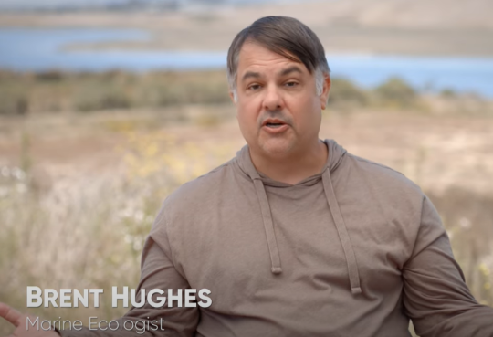 Screenshot of Dr. Brent Hughes in new PBS video