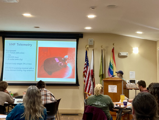 Student speaking at Northwestern Pond Turtle Symposium