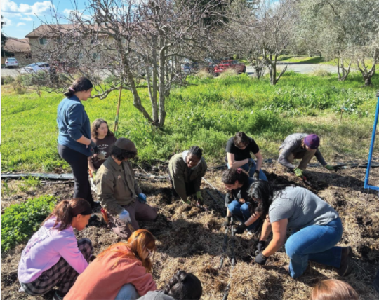 Students digging in the dirt