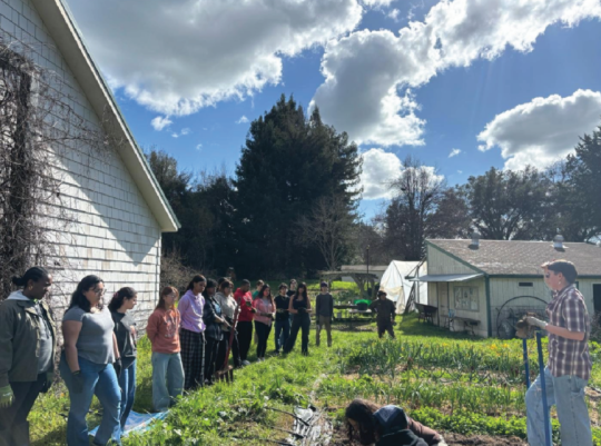 Students listening to outdoor presentation