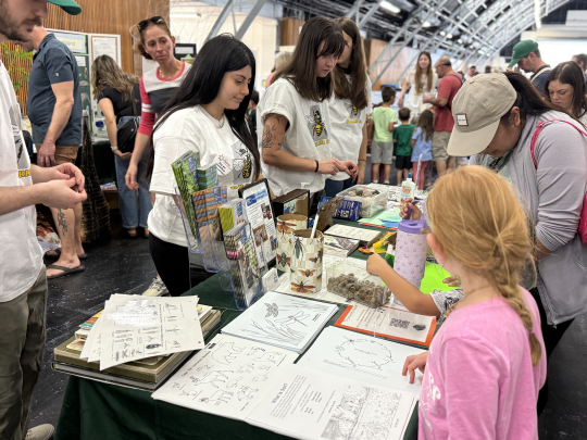 Students participating at an event