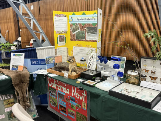 Table set-up at Science Event