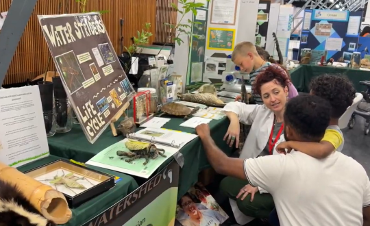 CEI staff participating at an event