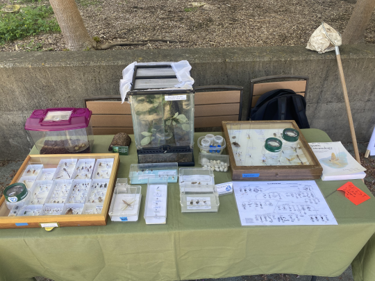 table with items from the museum