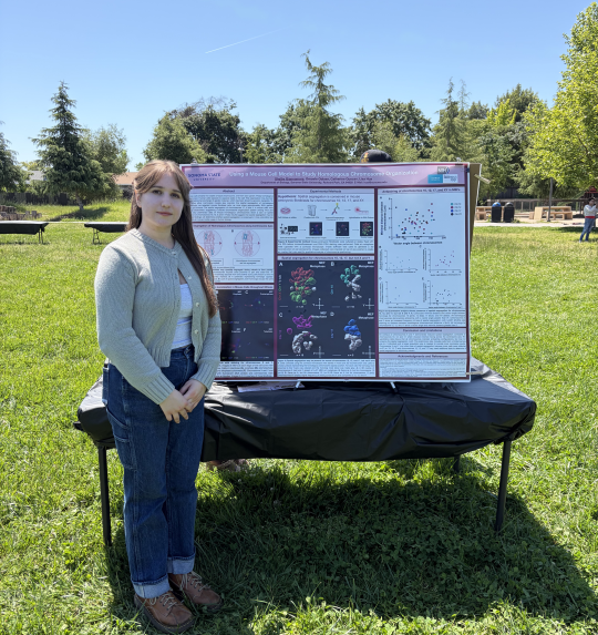 Students at an outdoor symposium
