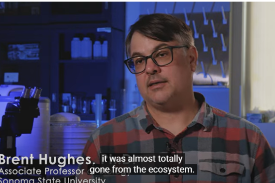 Screenshot of Dr. Brent Hughes in PBS video