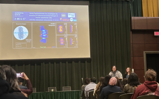 Students presenting research at symposium event