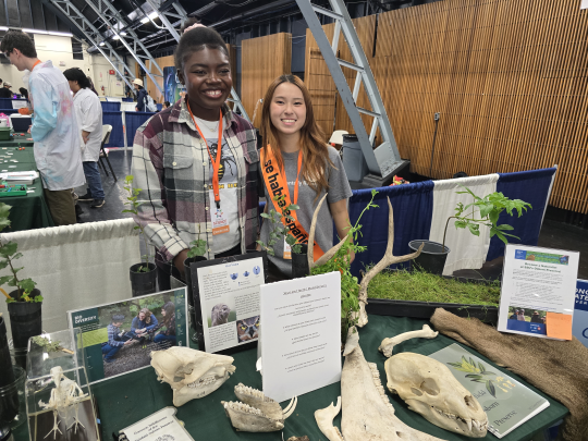 Students participating at an event