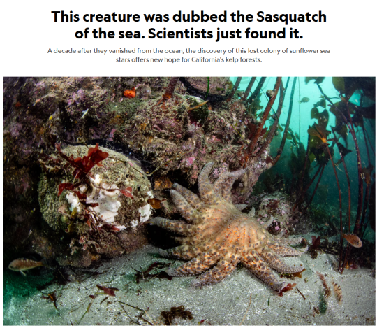 Cover of Nat Geo magazine